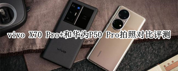 vivo X70 Pro+对比华为P50 Pro：谁能代表国产旗舰拍照水平