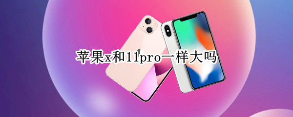苹果x和11pro一样大吗