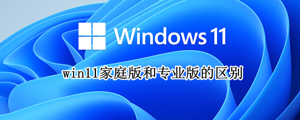win11家庭版和专业版的区别