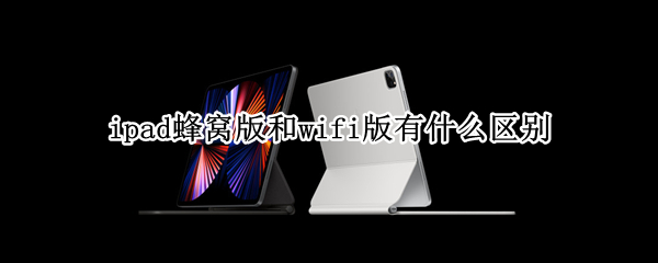 ipad蜂窝版和wifi版有什么区别