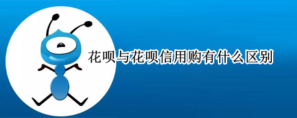 花呗与花呗信用购有什么区别