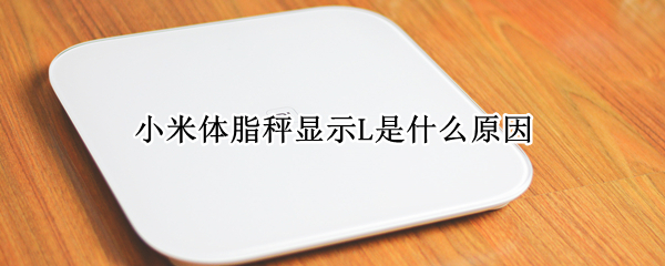 小米体脂秤显示L是什么原因