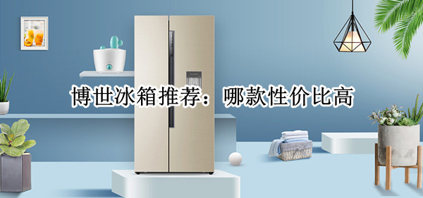 博世冰箱推荐：哪款性价比高？