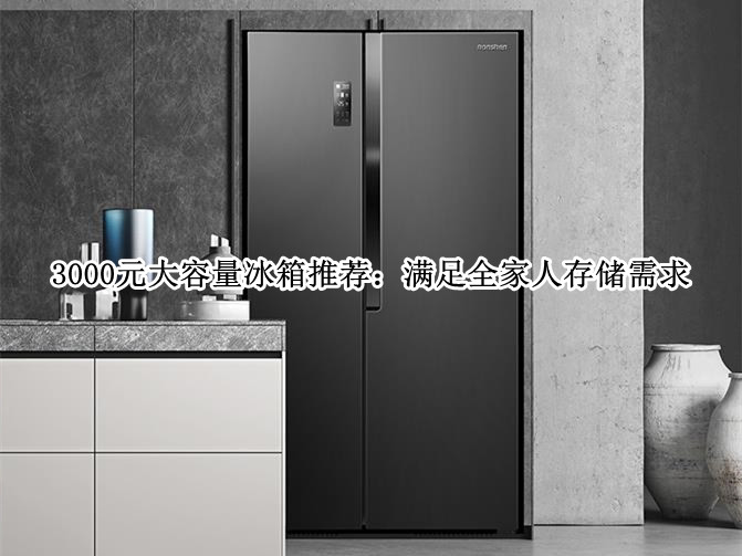 3000元大容量冰箱推荐：满足全家人存储需求