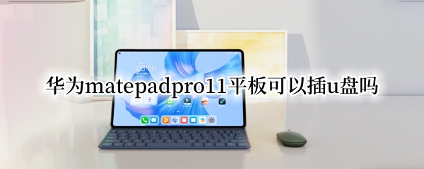 华为matepadpro11平板可以插u盘吗