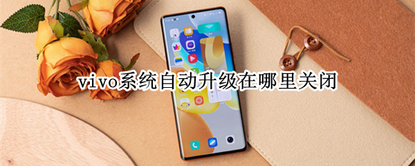 vivo系统自动升级在哪里关闭