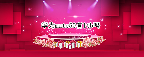 华为mate50有1tb吗