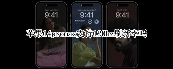 苹果14promax支持120hz刷新率吗