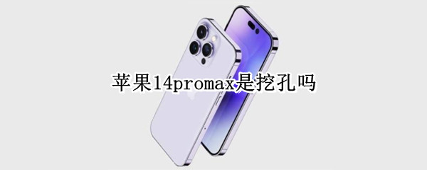 苹果14promax是挖孔吗
