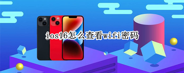 ios16怎么查看wifi密码