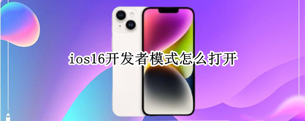 ios16开发者模式怎么打开