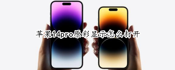 苹果14pro原彩显示怎么打开
