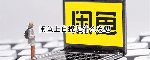 闲鱼上自提是什么意思