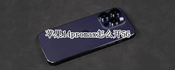 苹果14promax怎么开5G