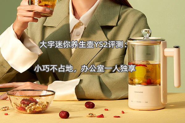 大宇迷你养生壶YS2评测：小巧不占地，办公室一人独享