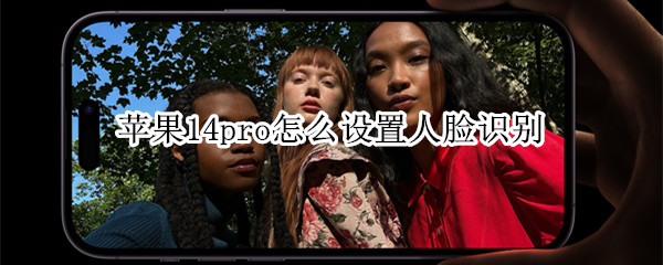 苹果14pro怎么设置人脸识别