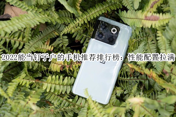2022能当钉子户的手机推荐排行榜：性能配置拉满