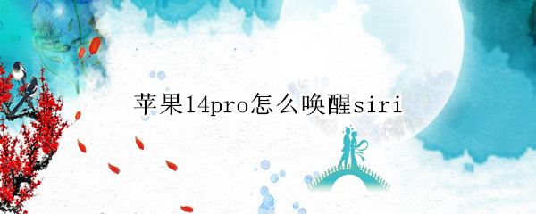 苹果14pro怎么唤醒siri