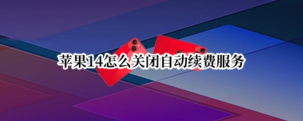 苹果14怎么关闭自动续费服务