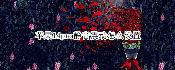 苹果14pro静音震动怎么设置