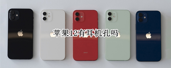 苹果12有耳机孔吗