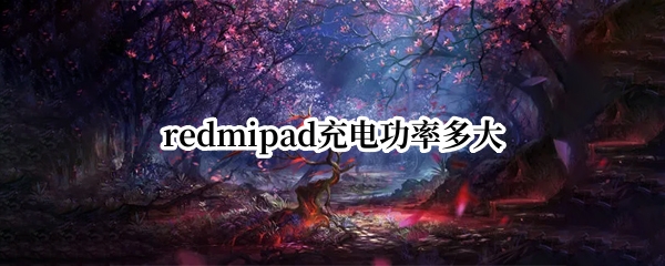 redmipad充电功率多大
