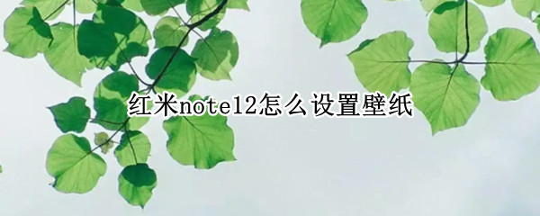 红​米note12怎么设置壁纸​