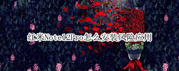 红米Note12Pro怎么安装风险应用