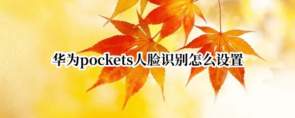 华为pockets人脸识别怎么设置