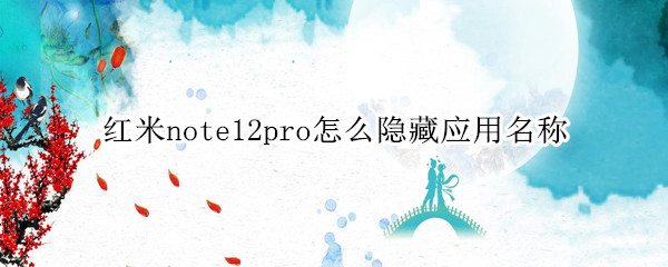 红米note12pro怎么隐藏应用名称