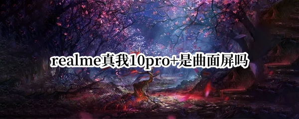 realme真我10pro+是曲面屏吗