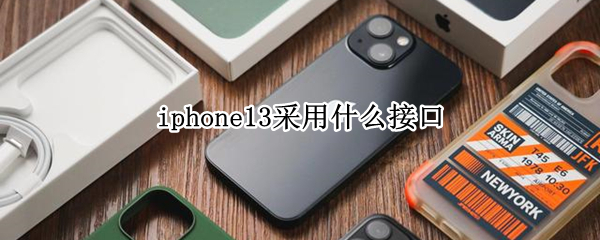 iphone13采用什么接口
