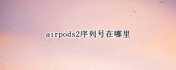 airpods2序列号在哪里