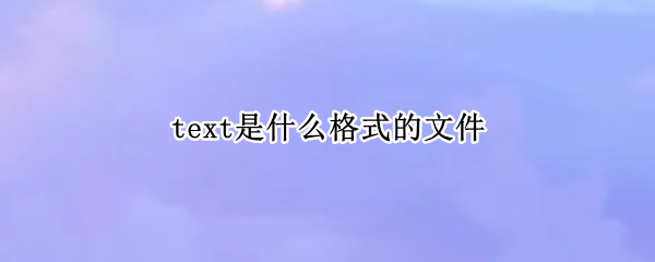 text是什么格式的文件