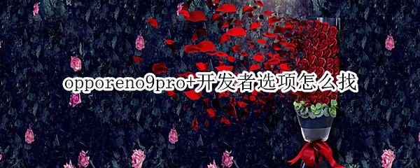 opporeno9pro+开发者选项怎么找