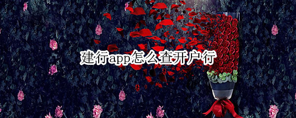 建行app怎么查开户行