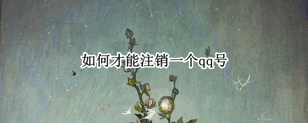 如何才能注销一个qq号