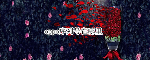 oppo序列号在哪里