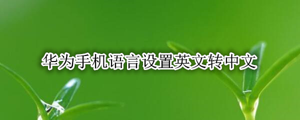 华为手机语言设置英文转中文