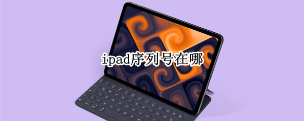 ipad序列号在哪
