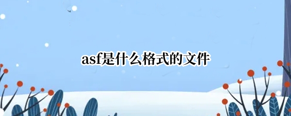 asf是什么格式的文件