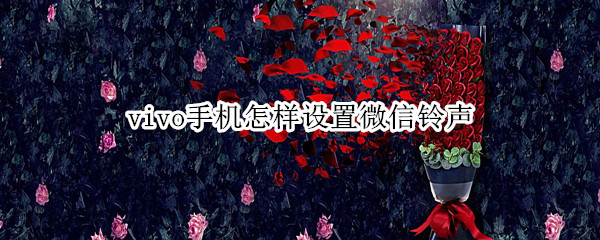 vivo手机怎样设置微信铃声
