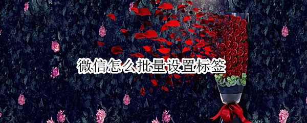 微信怎么批量设置标签