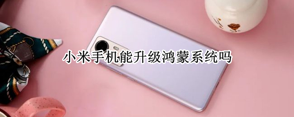 小米可以用鸿蒙系统吗