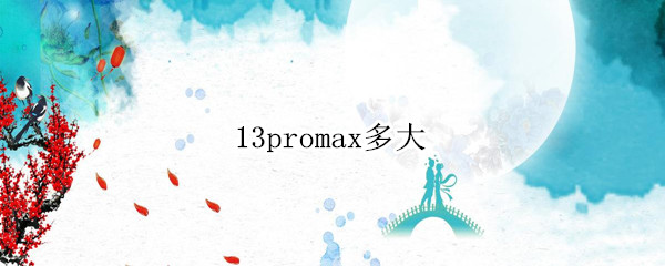 13promax多大