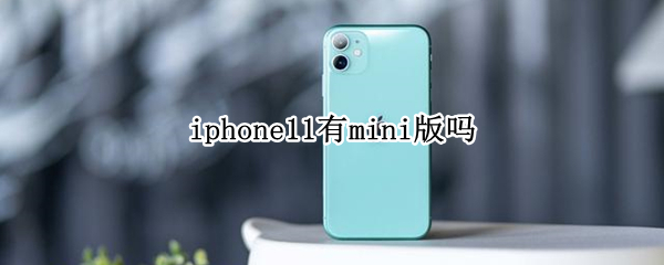iphone11有mini版吗