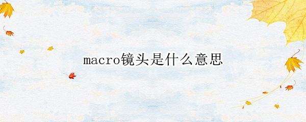 macro镜头是什么意思