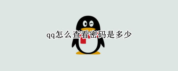 qq怎么查看密码是多少