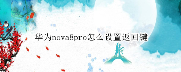 华为nova8pro怎么设置返回键