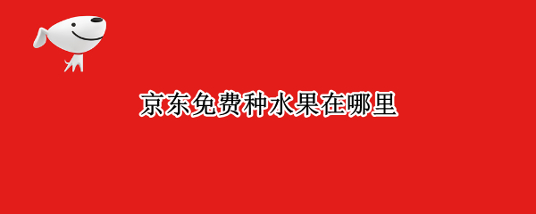 京东免费种水果在哪里